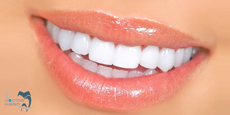 دندان پیش چه کاربرد و وظایفی به عهده دارد ؟